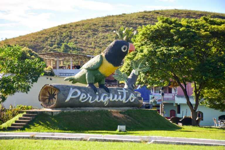 Passagens de Ônibus para Periquito - MG