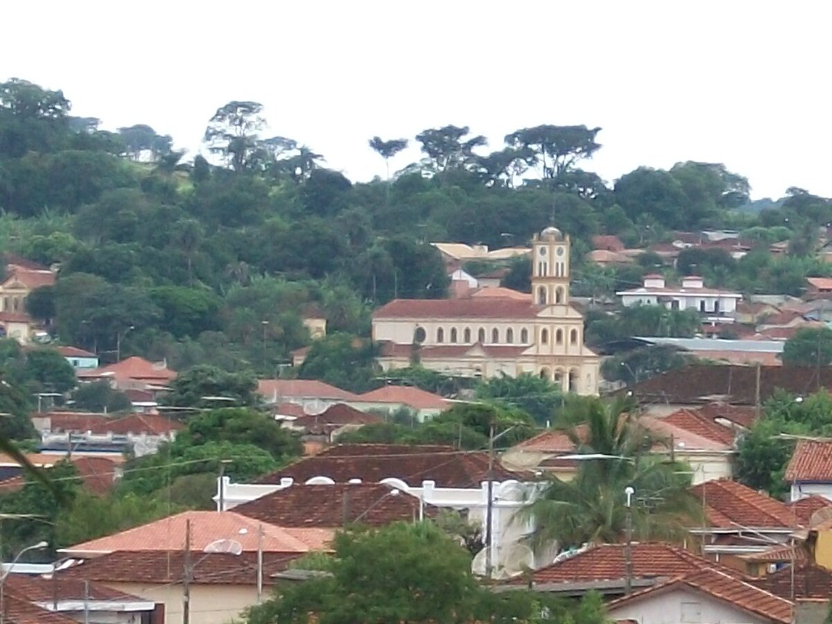 Passagens de Ônibus para São Simão - SP